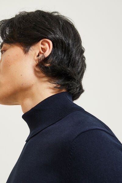 Pull col roulé